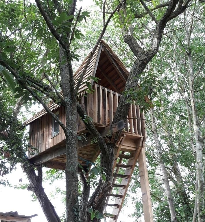Cabane perchee